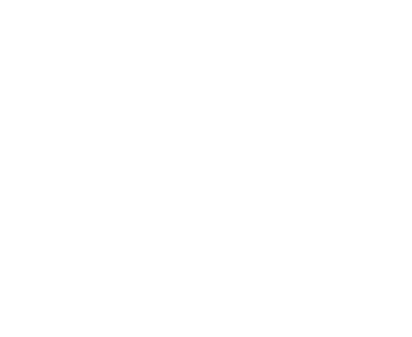 Bizmed Solutions